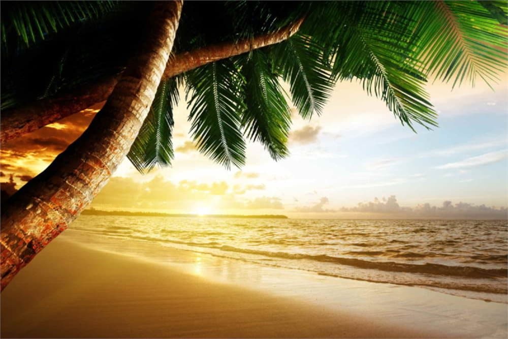 Fototapet Caribbean Beach Sunrise