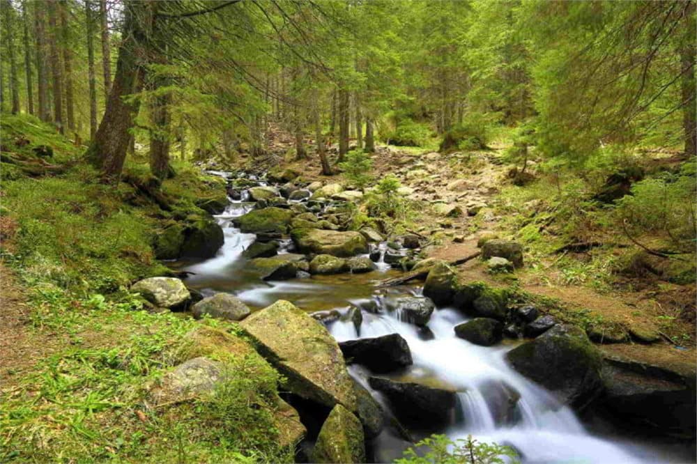 Fototapet Mountain River