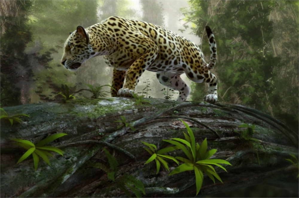 Fototapet Jaguar on the Prowl
