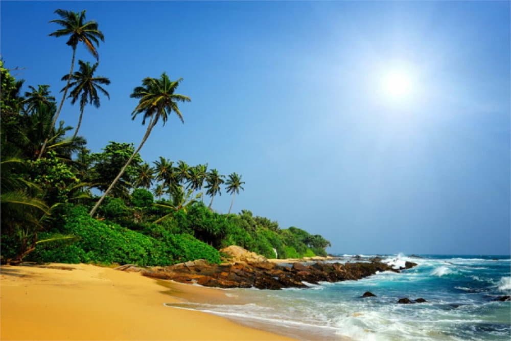 Fototapet Sri Lanka Tropical Beach