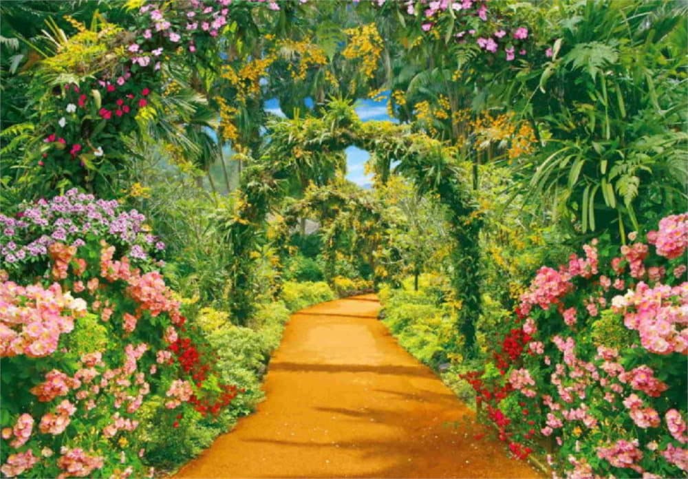 Fototapet Flower Alley