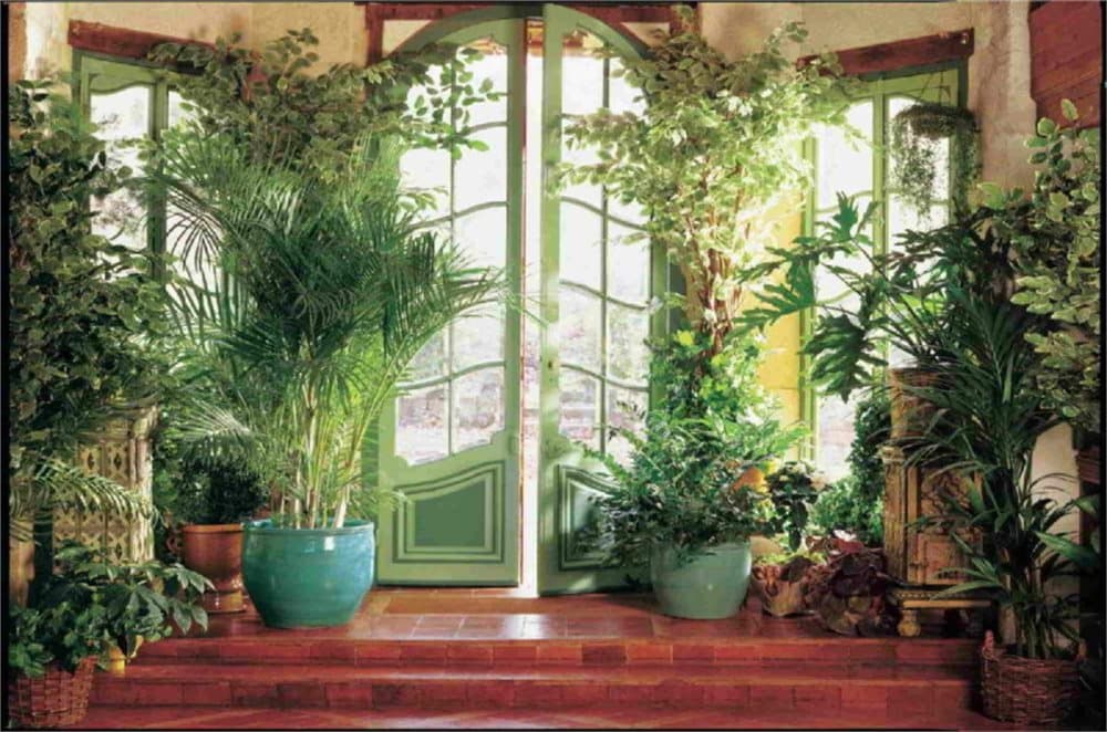 Fototapet Larit Jardin