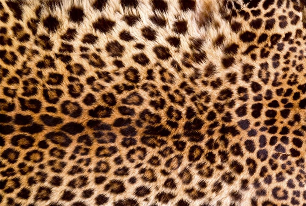 FOTOTAPET EASY UP LEOPARD SKIN