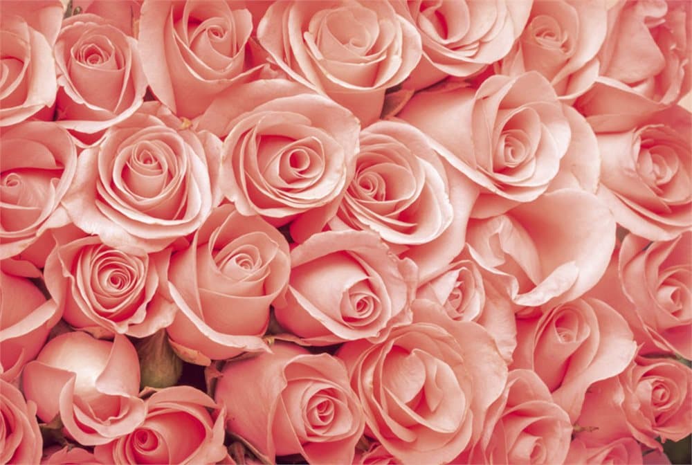FOTOTAPET EASY UP ROSES