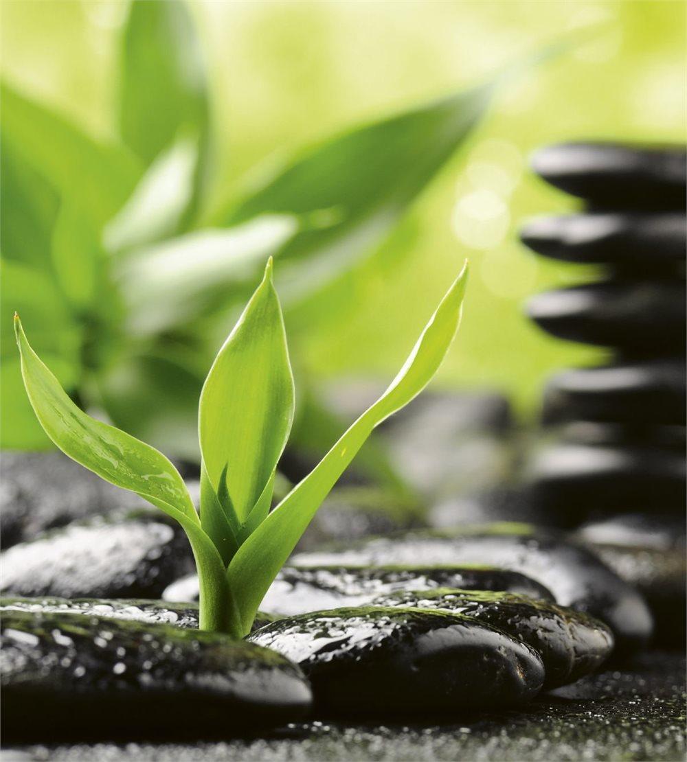 Fototapet "Zen Stones"