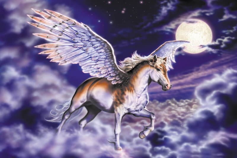 Wallpaper Mural Pegasus