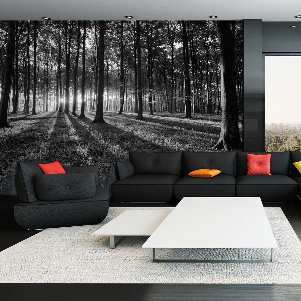 Fototapet - The Light in the Forest (300 x 210 cm)