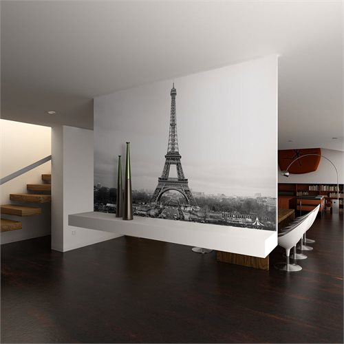 Bild av Fototapet - Paris: svartvit fotografi (300 x 231 cm)