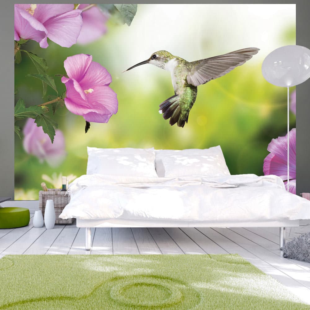 Fototapet - Humming-bird (300 x 210 cm)