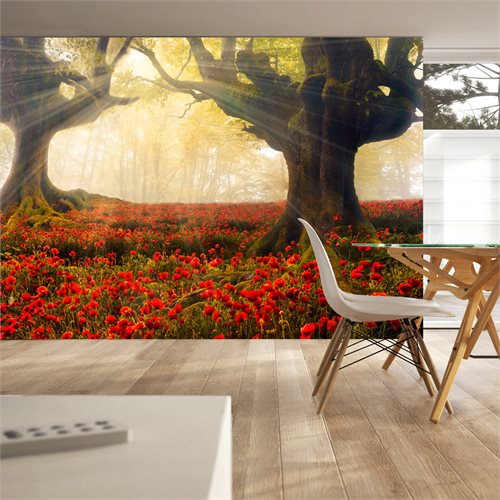 Bild av Fototapet - Morning among poppies (350 x 245 cm)