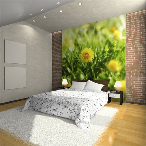 Bild av Fototapet - Dandelion blommor (300 x 231 cm)