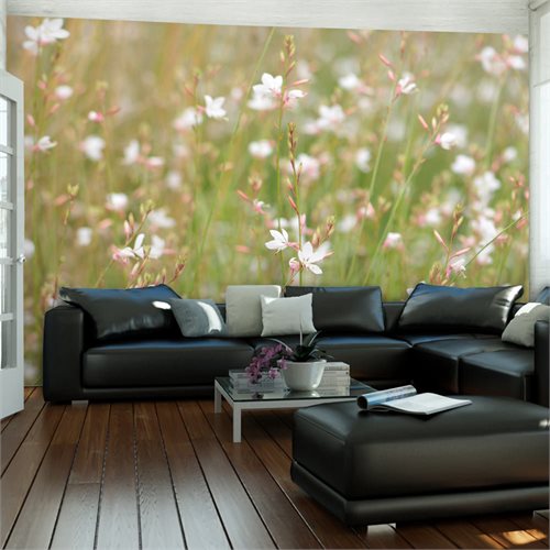 Bild av Fototapet - Vita känsliga blommor (300 x 231 cm)