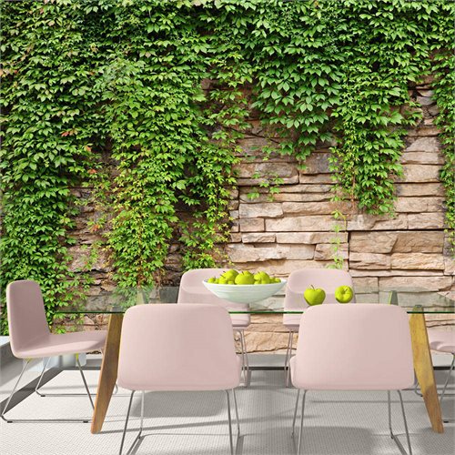 Bild av Fototapet - Ivy wall (350 x 245 cm)