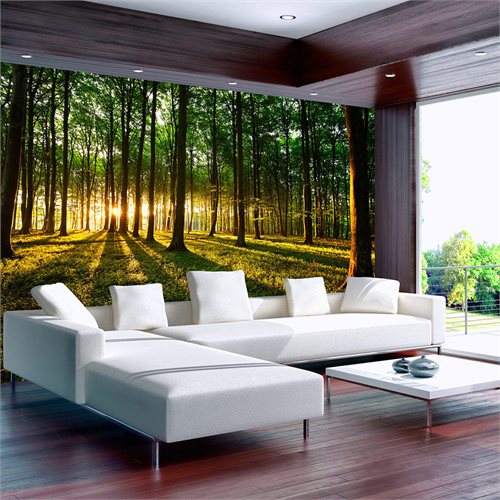 Bild av Fototapet - Spring: Morning in the Forest (350 x 245 cm)
