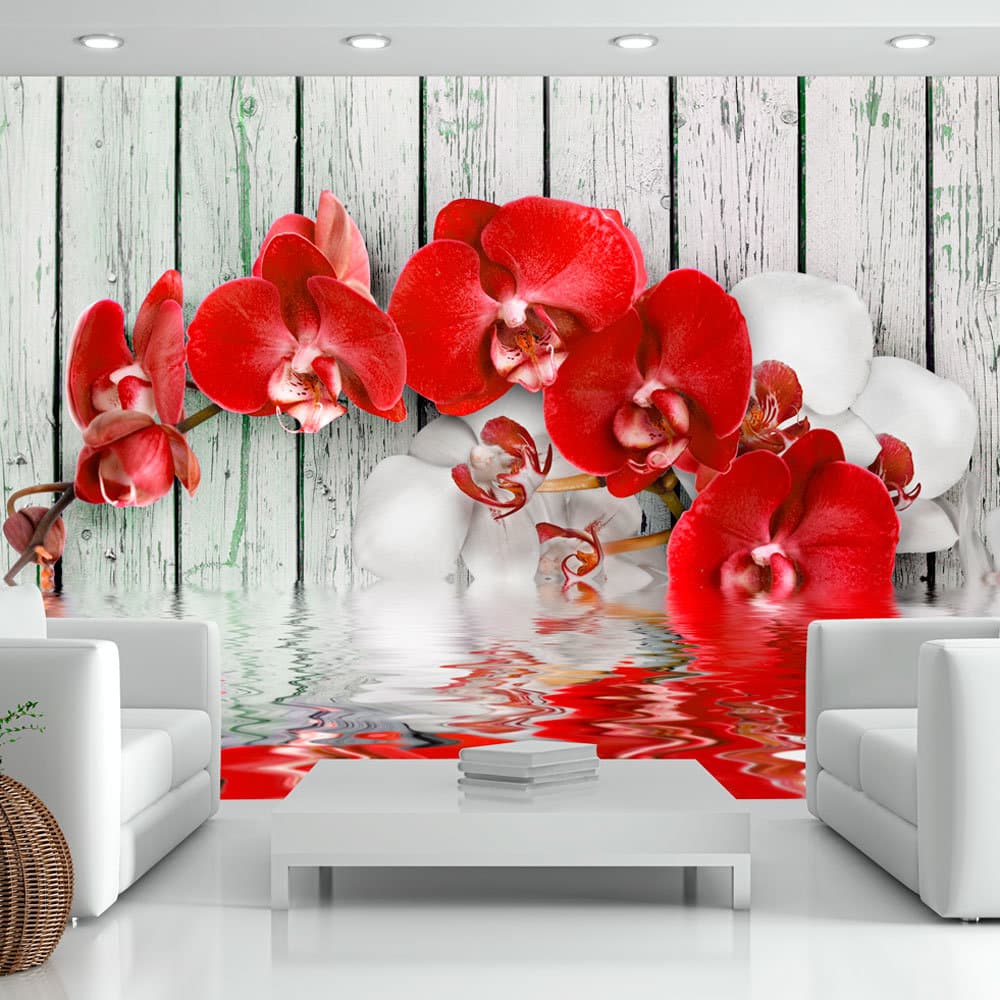 Fototapet - Ruby orchid (400 x 280 cm)