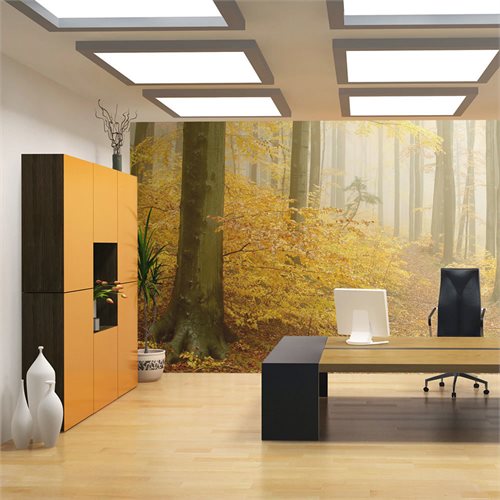 Bild av Fototapet - skog - höst (350 x 270 cm)