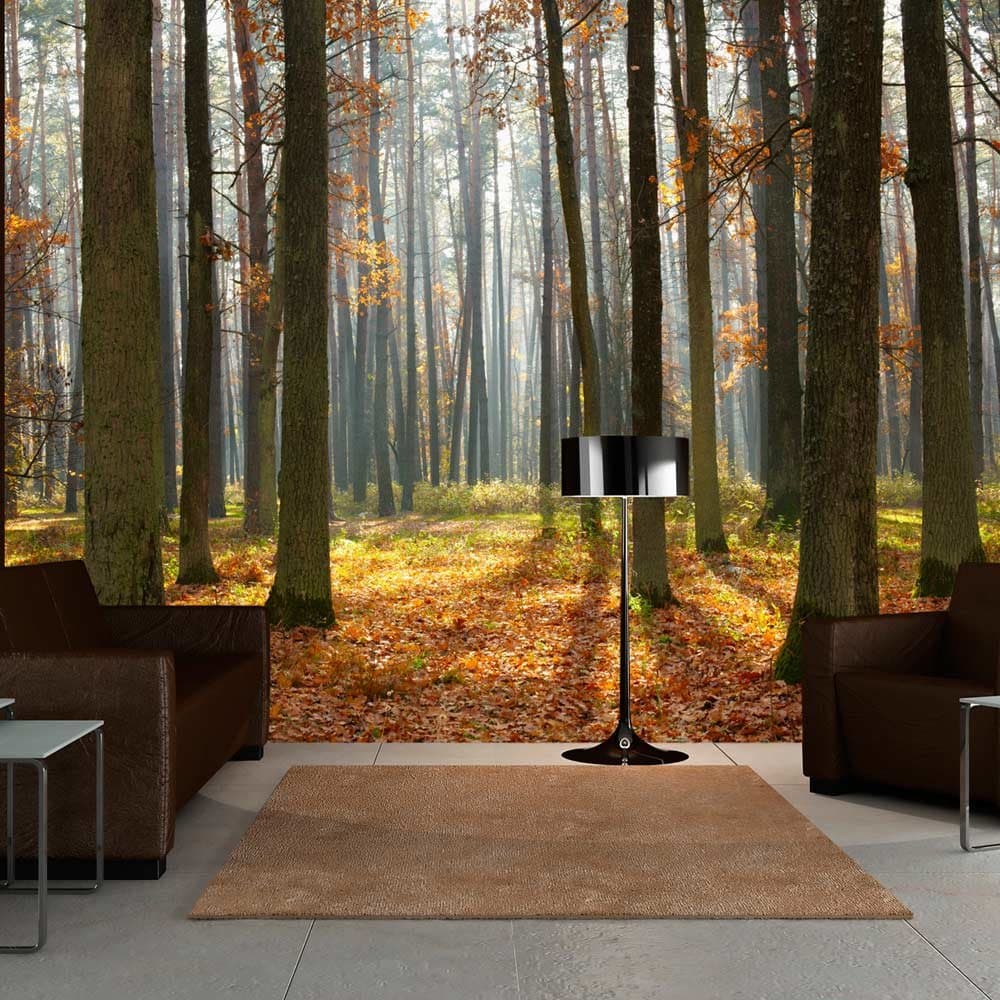 Fototapet - Autumn trees (350 x 270 cm)