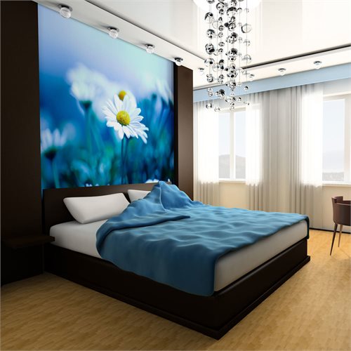 Bild av Fototapet - Daisy på en blå äng (400 x 309 cm)
