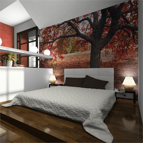 Bild av Fototapet - Träd i höst (350 x 270 cm)