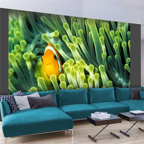 Bild av Fototapet - Anemonefish (350 x 270 cm)