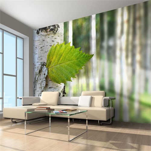 Bild av Fototapet - Björklöv (400 x 309 cm)