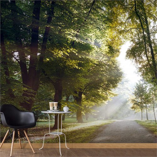Bild av Fototapet - Morning Walk (400 x 280 cm)