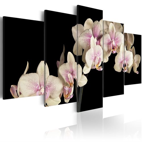 Bild av Tavla - An orchid on a contrasting background (100 x 50 cm)