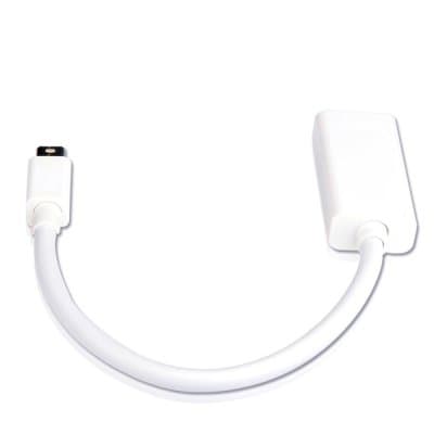 LENTION Mini Displayport Adapter