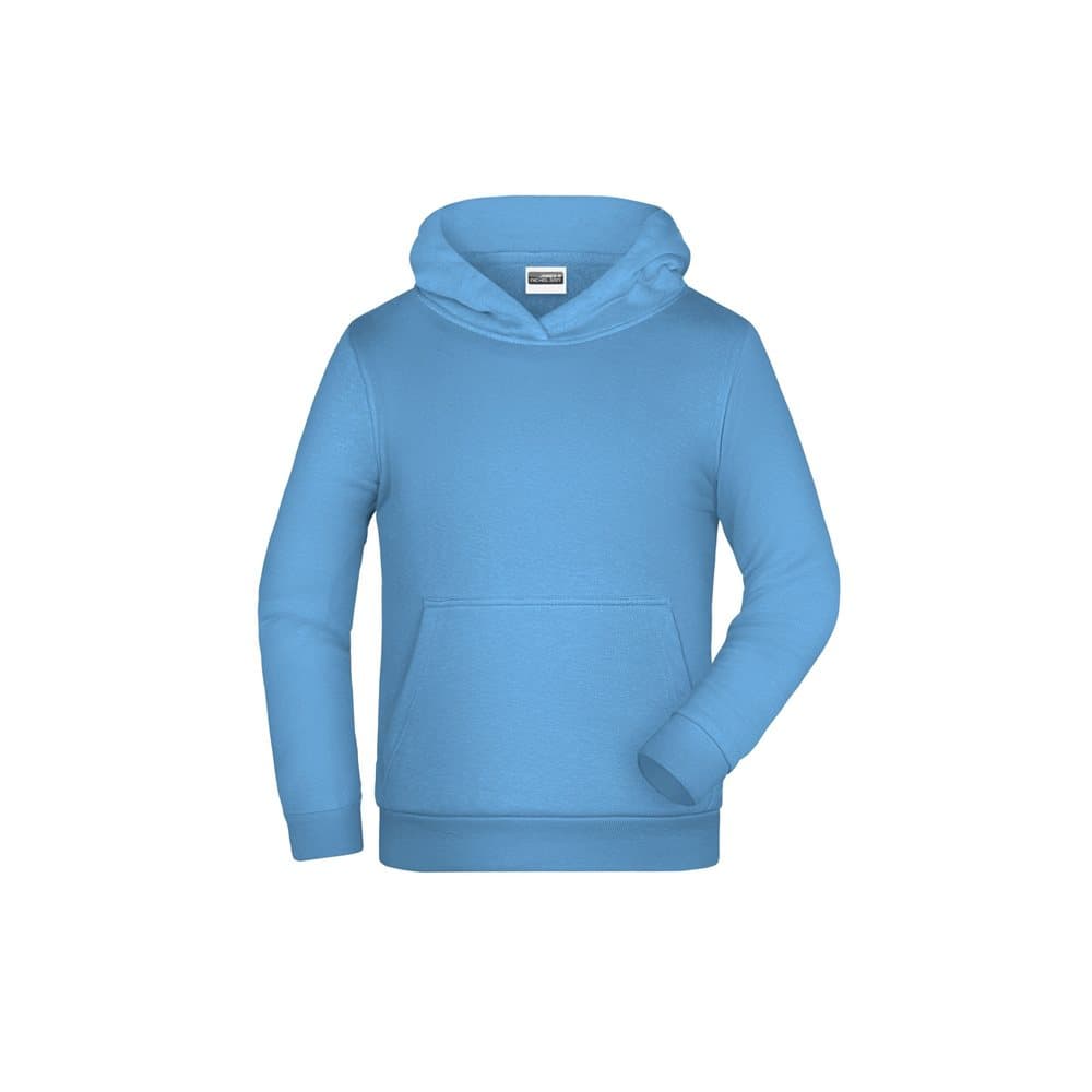 James And Nicholson Childrens/Kids Basic Hoodie