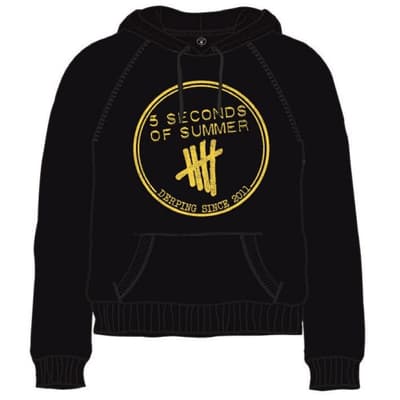 5 Seconds of Summer Unisex Pullover Hoodie: Derping Stamp (X-Large)