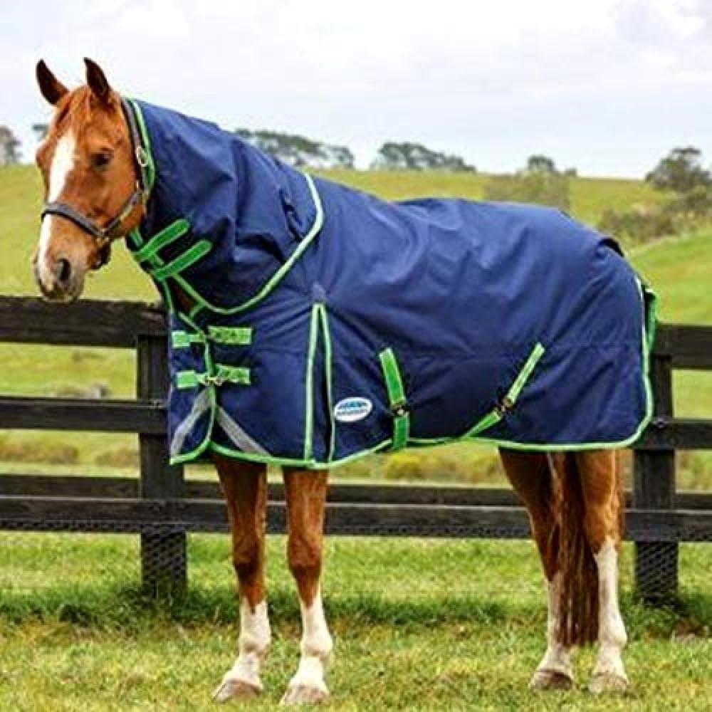 Weatherbeeta Comfitec Medium Plus Dynamic Combo Neck Turnout Rug