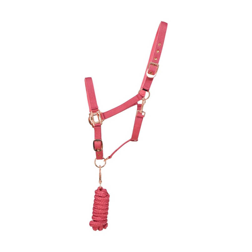 Hy Rose Gold Headcollar och Lead Rope