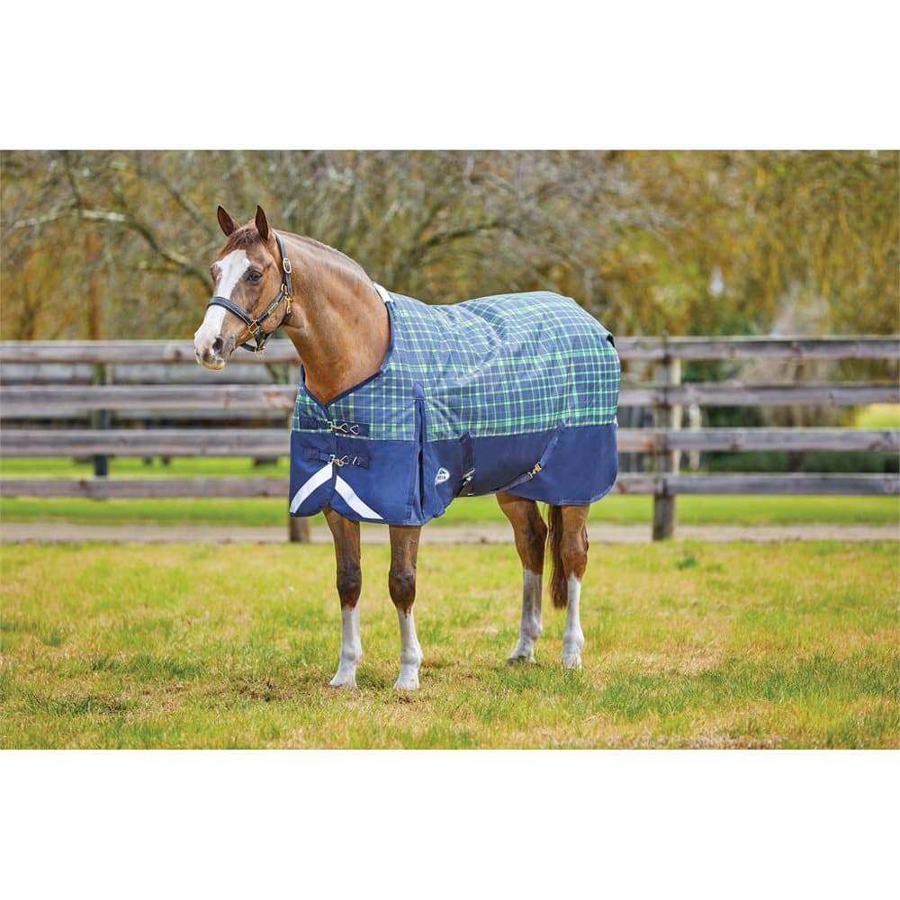 Weatherbeeta Comfitec Medium Plus Dynamic Standard Neck Turnout Rug