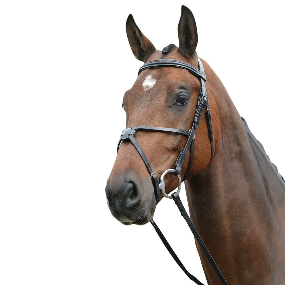Kincade Leather Grackle Bridle II