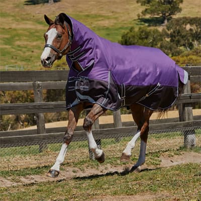 Weatherbeeta Comfitec Plus Dynamic Combo Neck Medium Turnout Rug