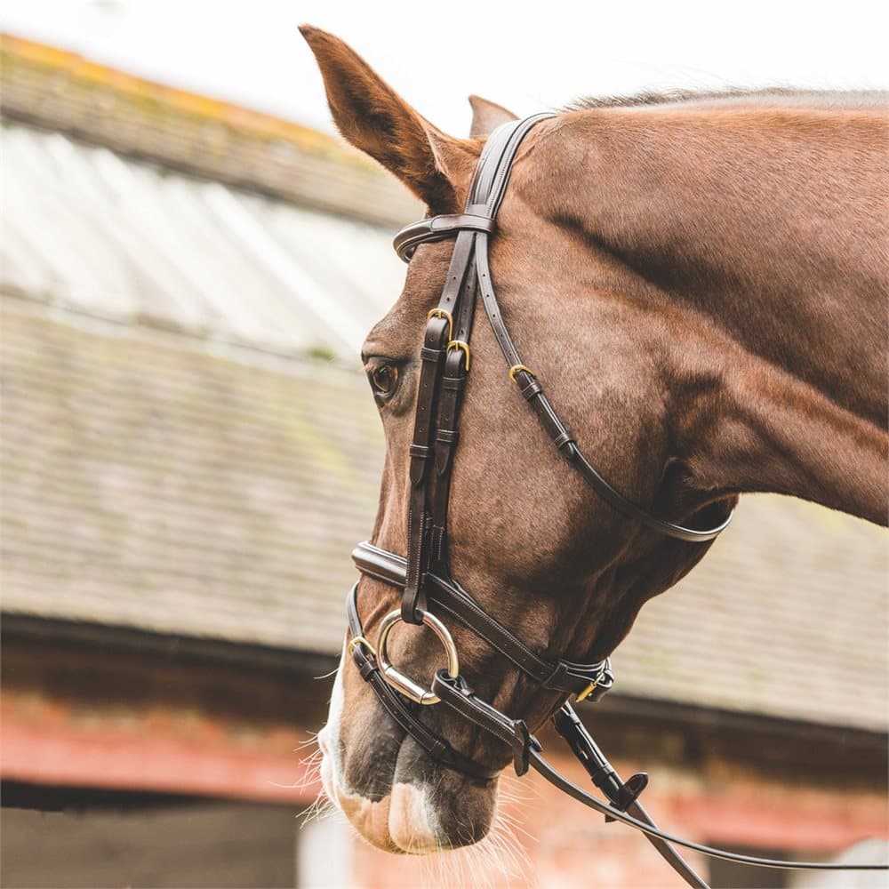Mark Todd Performance Flash Bridle with Brass Fittings