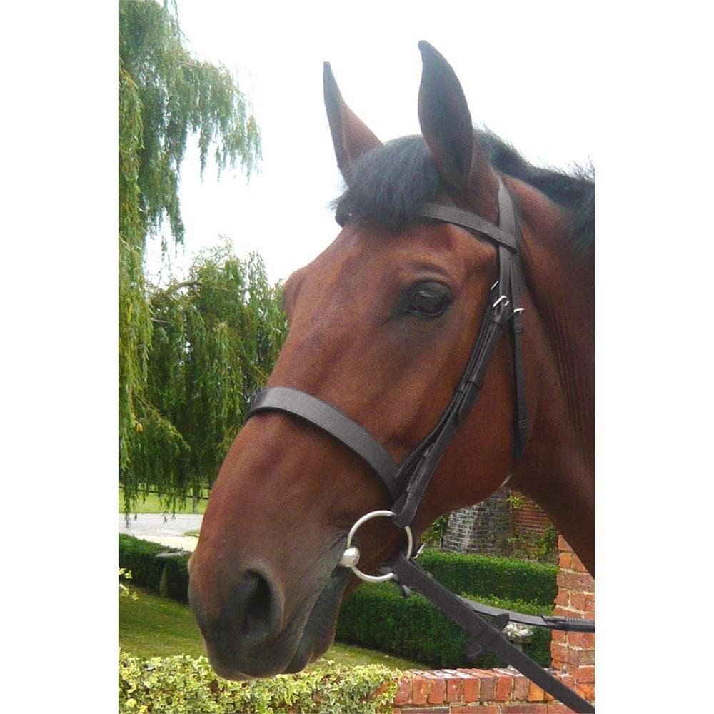 Mark Todd Hunter Bridle