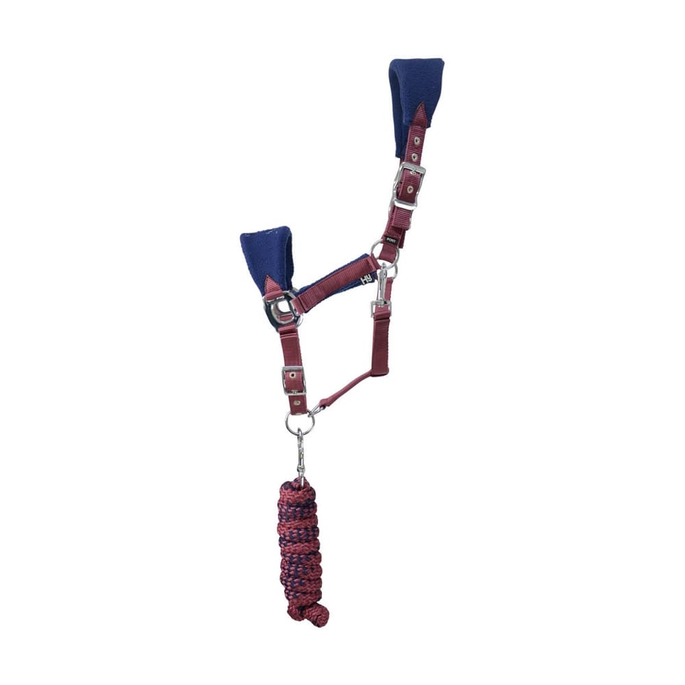 Hy Event Pro Series Head Collar and Lead Rope