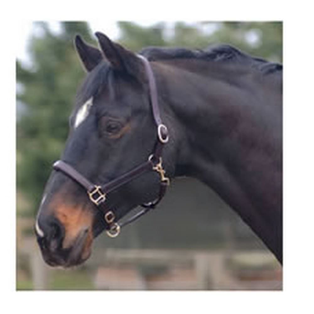 Cottage Craft Leather Headcollar