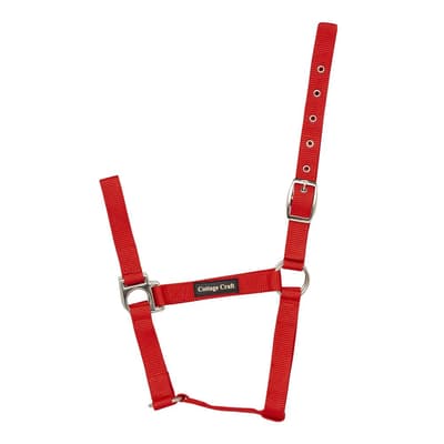 Cottage Craft Standard headcollar