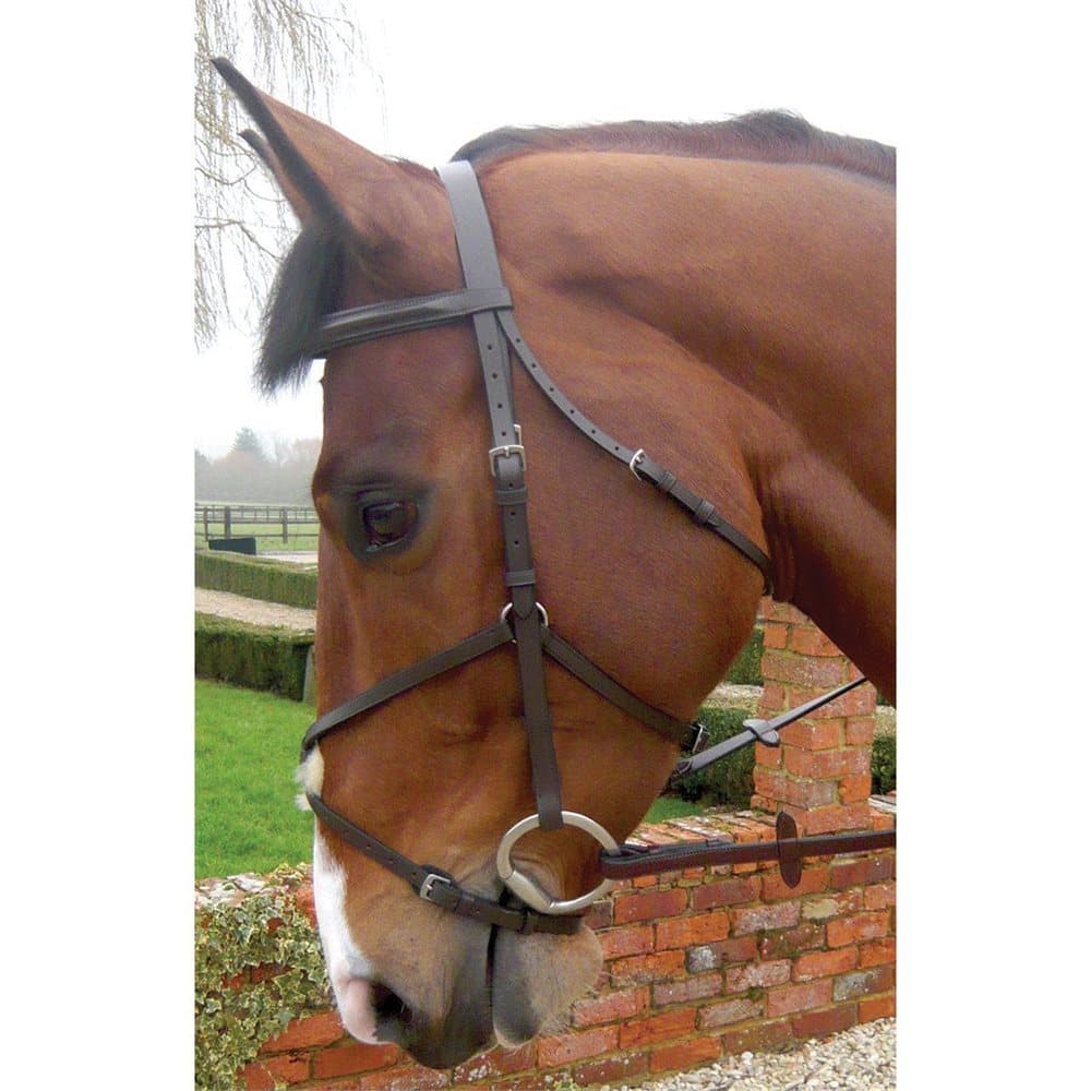 JHL Grackle Bridle