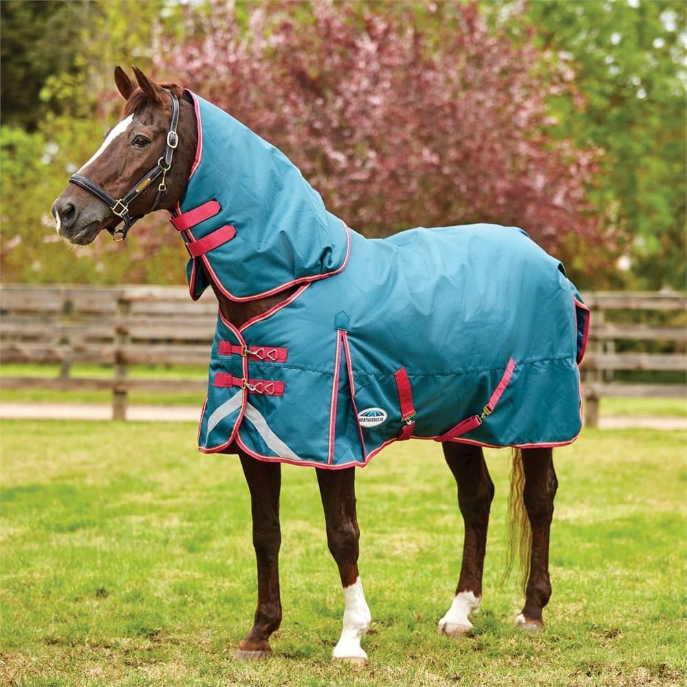 Weatherbeeta Comfitec Plus Dynamic Detach-a-neck Medium Turnout Rug