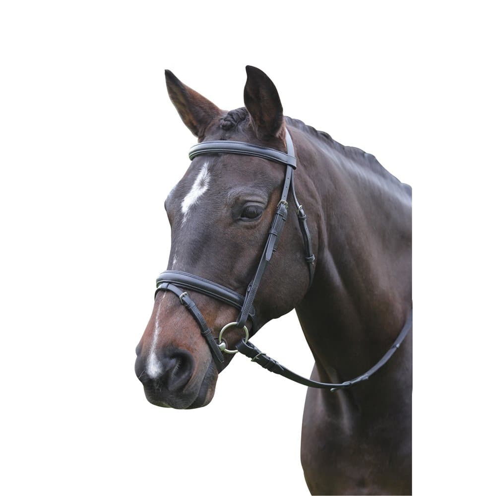 Kincade Leather Flash Bridle II