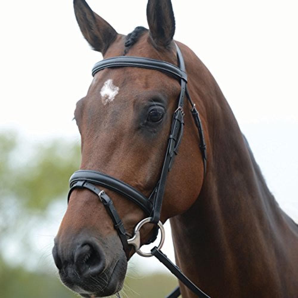 Kincade Leather Flash Bridle II