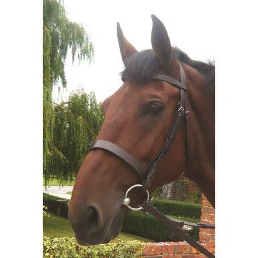 Mark Todd Hunter Bridle Hunter