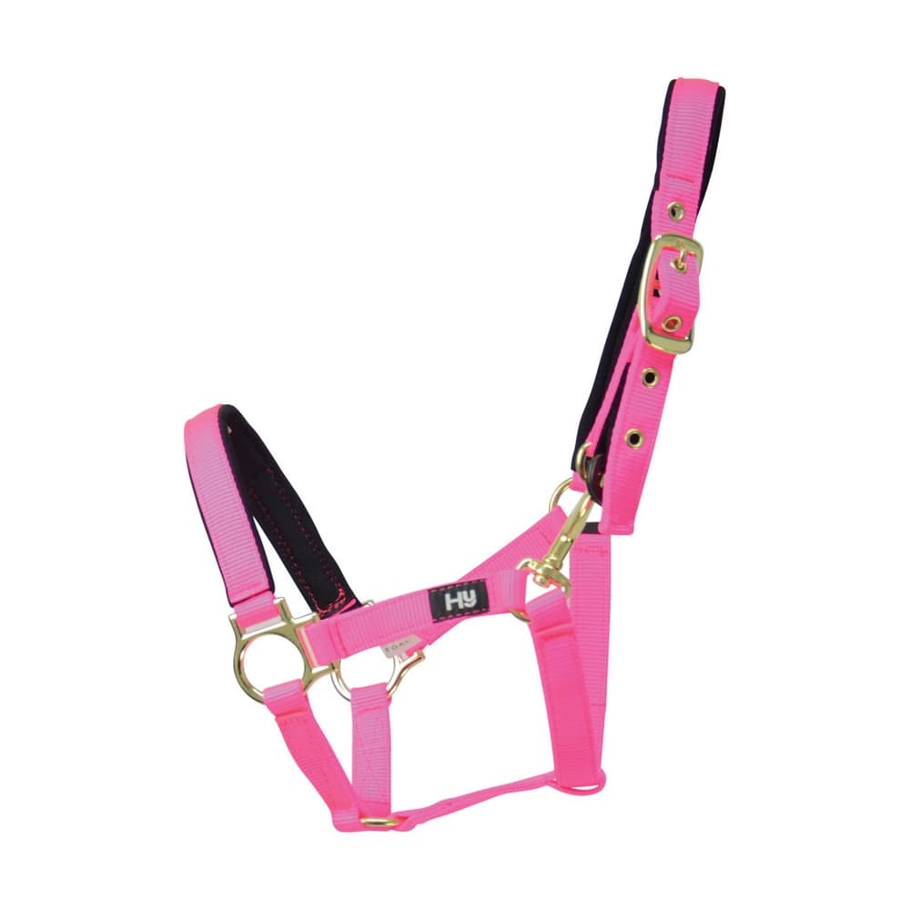 Hy Fieldsafe Small Pony And Foal Head Collar