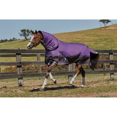 Weatherbeeta Comfitec Plus Dynamic Detach-a-neck Lite Turnout Rug