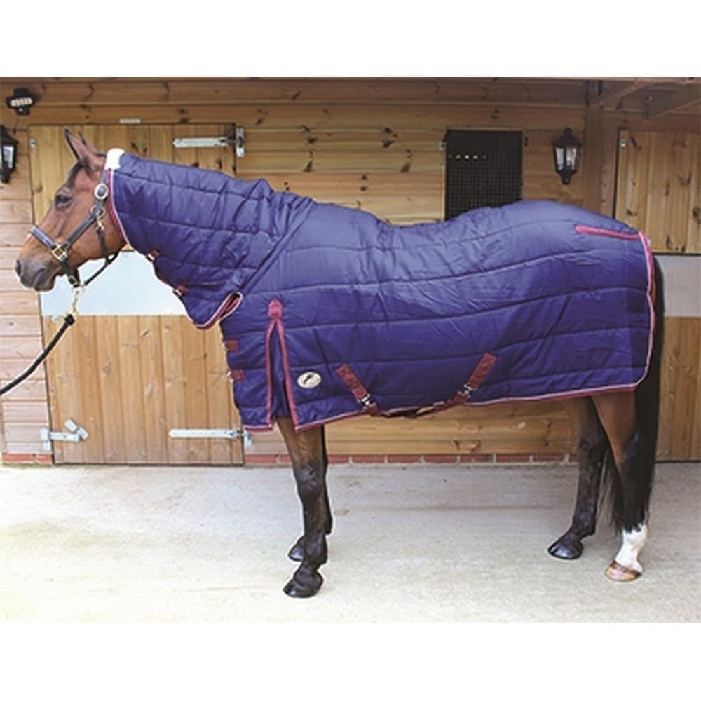 JHL Combo Medium Weight Stable Rug