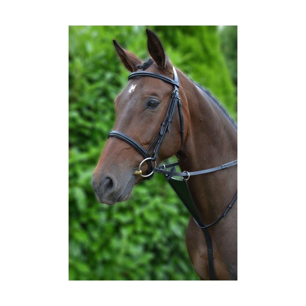 Hy Leather Bib Martingale