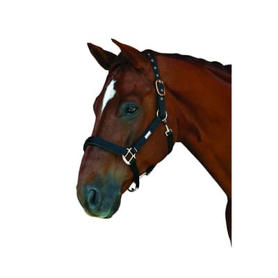 Roma 3 Clip Headcollar